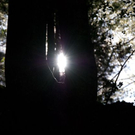 normal_23042011wolfgangseehsaktivnews_058.jpg