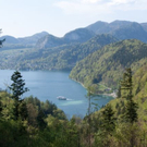 normal_23042011wolfgangseehsaktivnews_069.jpg
