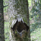 23042011wolfgangseehsaktivnews_125.jpg