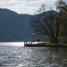 23042011wolfgangseehsaktivnews_126.jpg