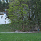 23042011wolfgangseehsaktivnews_121.jpg