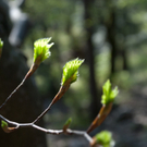 23042011wolfgangseehsaktivnews_119.jpg