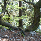 23042011wolfgangseehsaktivnews_113.jpg