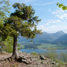 23042011wolfgangseehsaktivnews_111.jpg
