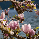 23042011wolfgangseehsaktivnews_128.jpg