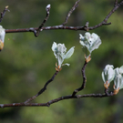 23042011wolfgangseehsaktivnews_110.jpg