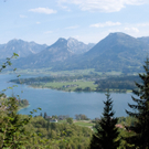 23042011wolfgangseehsaktivnews_092.jpg