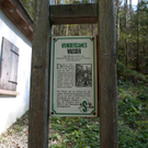 23042011wolfgangseehsaktivnews_084.jpg
