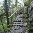 23042011wolfgangseehsaktivnews_095.jpg