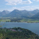 23042011wolfgangseehsaktivnews_101.jpg
