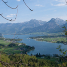 23042011wolfgangseehsaktivnews_099.jpg
