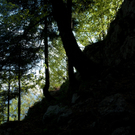 23042011wolfgangseehsaktivnews_097.jpg