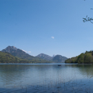 23042011schlossfischefuschlhsaktivnews_004.jpg