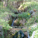 23042011schlossfischefuschlhsaktivnews_011.jpg