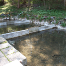 23042011schlossfischefuschlhsaktivnews_010.jpg