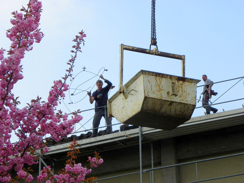 110_1879_JPG-1303662686