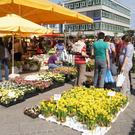 DSC07881.JPG