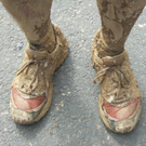 Harald1_jpg-1303672511