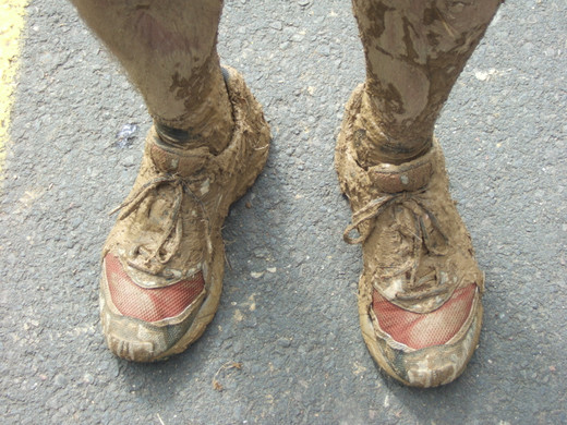 Harald1_jpg-1303672511