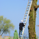 110_2273_JPG-1303684780