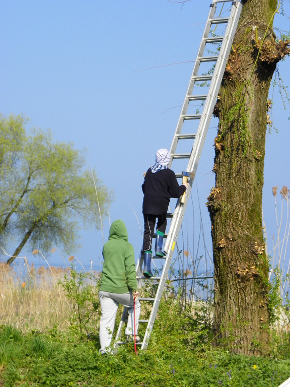 110_2273_JPG-1303684780