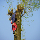 110_2258_JPG-1303684850