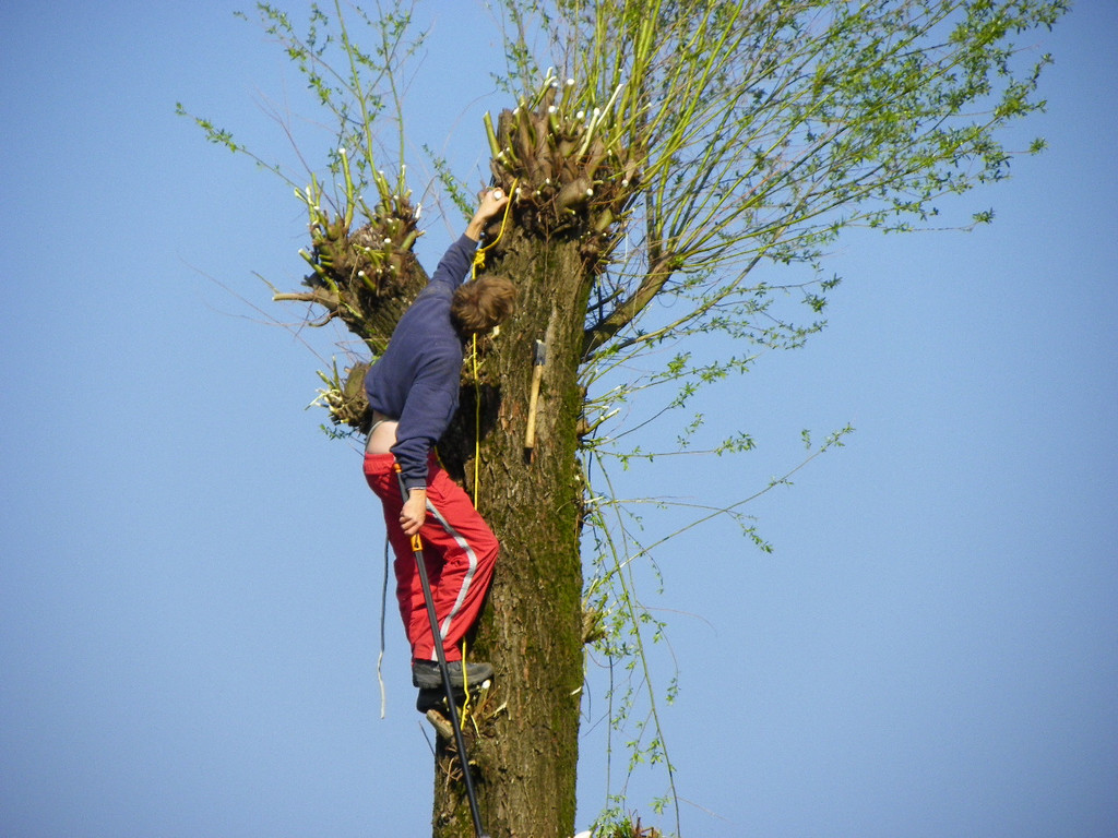 110_2258_JPG-1303684850