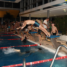 IMG_4513_Gr____enver__nderung.JPG