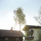 normal_240411fruehlingsfaktivnews008.jpg