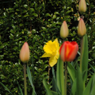 normal_240411fruehlingsfaktivnews011.jpg