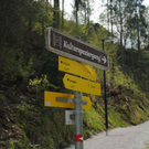 normal_240411fruehlingsfaktivnews029.jpg