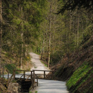 normal_240411fruehlingsfaktivnews030.jpg