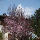 normal_240411fruehlingsfaktivnews046.jpg