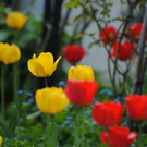 normal_240411fruehlingsfaktivnews061.jpg