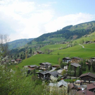 normal_240411fruehlingsfaktivnews076.jpg