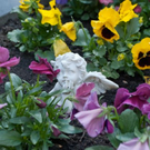 normal_24042011ostergrabstgeorgenhsaktivnews_00011.jpg