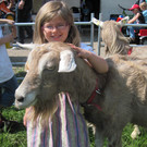 Oberländer Ziegenausstellung in Ludesch