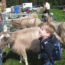 IMG_0004_JPG-1303743653