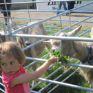 IMG_0016_JPG-1303744140