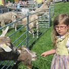 IMG_0021_JPG-1303744379