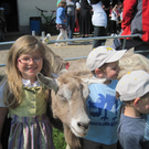 IMG_0028_JPG-1303744743