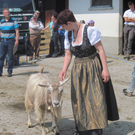 IMG_0006_JPG-1303745139