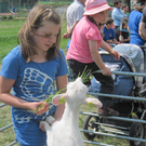 IMG_0009_JPG-1303745413