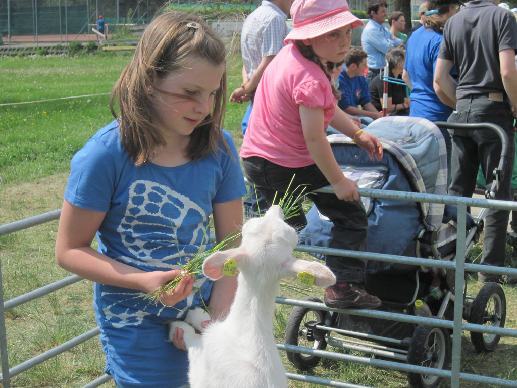 IMG_0009_JPG-1303745413