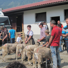 IMG_0016_JPG-1303745504