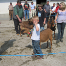 IMG_0018_JPG-1303746262