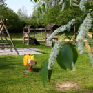 KOE_Untere Au 7_jpg-1303755346