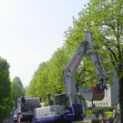 110_3264_JPG-1303765396