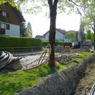 110_3267_JPG-1303765418