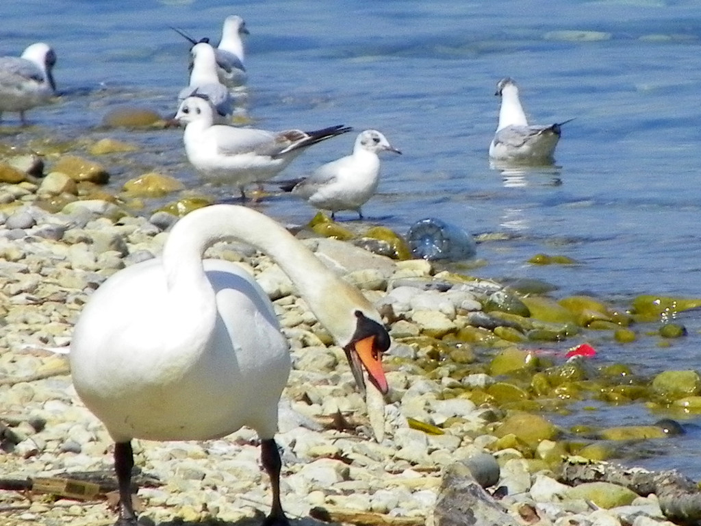 19_4_11 076_jpg-1303767665